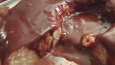 Pudim de leite em pó com ganache de creme de avelã