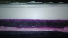 Sobremesa dois amores