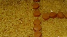 Torta de pão de forma