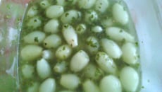 Cebolinha em conserva