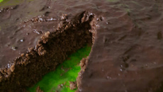 Bolo de banana com chocolate e aveia