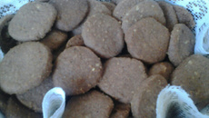 Biscoito de chocolate e nozes