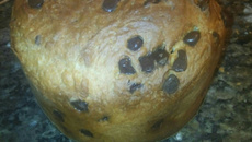 Panetone tipo tradicional