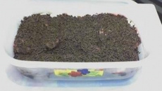 Torta de biscoito napolitano