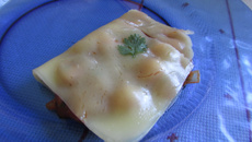 Sauce à la mozzarella