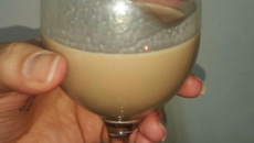 Amarula caseira fácil