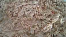 Macarrão com atum e maionese
