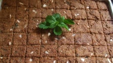 Quibe assado da Fabi