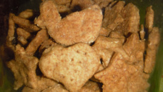 Biscoito integral com farinha de centeio