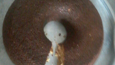 Bolo de banana sem açúcar sem ovo e sem trigo