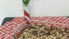 Pavê de bombom da Lisi