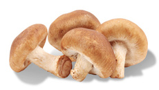 Cogumelos grelhados ao molho gorgonzola