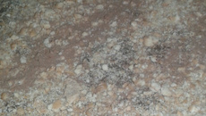 Pavê de chocolate sem ovo