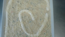 Purê de bacalhau gratinado