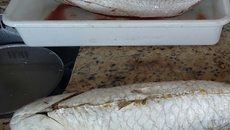 Taínha recheada com farofa