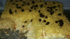 Torta de pão de forma da Vivi