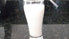 Leite de camelo (batida)