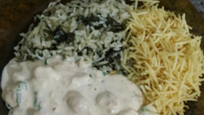 Estrogonofe de frango com requeijão