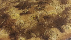 Bolo de banana sem óleo