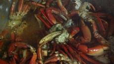 Caranguejada da vovó Gisele