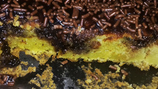 Bolo de abacate com limão facil