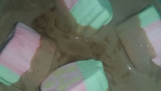 Hot chocolate marshmallow