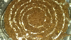 Pavê de bolacha de maizena