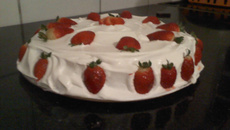 Bolo de morango e chocolate