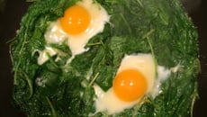 Ovos com espinafre