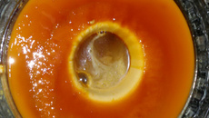 Pudim de leite sem ovo e sem banho-maria