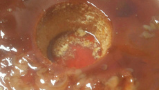 Pudim recheado com doce de leite