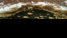 Torta ganache de chocolate e banana