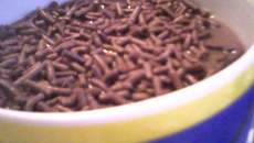 Falso mousse de chocolate