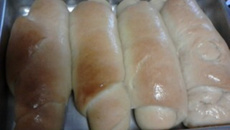 Fermento caseiro para pão