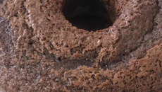 Bolo de Chocolate 