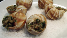 Escargot