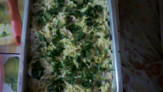 Macarrão ao Presunto e Requeijão light