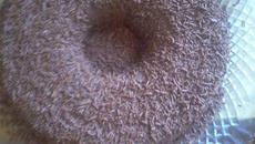 Pudim de geladeira de chocolate