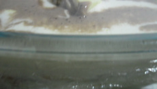 Torta de bombom serenata