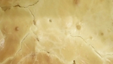 Massa de torta salgada de liquidificador (fácil)