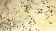 Filé de tilápia ao molho de requeijão