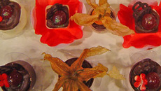 Trufa de floresta negra com ganache