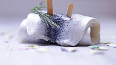  ROLLMOPS TILÁPIA 