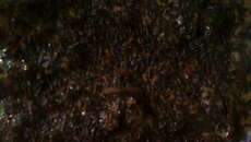 Pavê de chocolate fácil