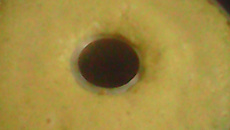 Bolo de fubá cremoso com coco