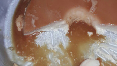 Pudim de leite em pó (sem forno)