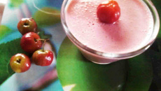 Gelado de frutas light