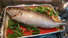 Peixe recheado com camarão