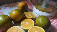 Suco de laranja tropical