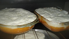 Favo de mel delicioso